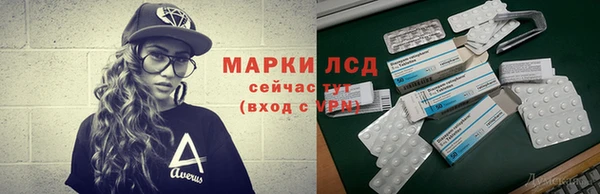 трава Аркадак