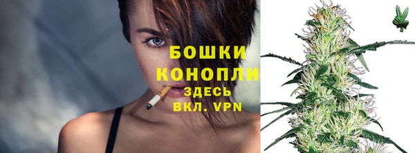 трава Аркадак