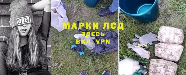 трава Аркадак