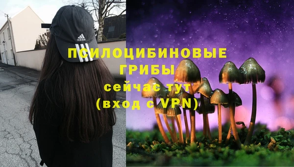 трава Аркадак