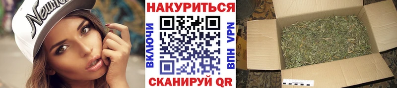 цена наркотик  Новосиль  Бошки марихуана ГИДРОПОН 